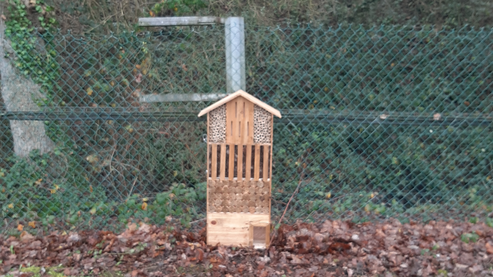 Notre arbre à insectes